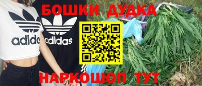 гашик Балаково