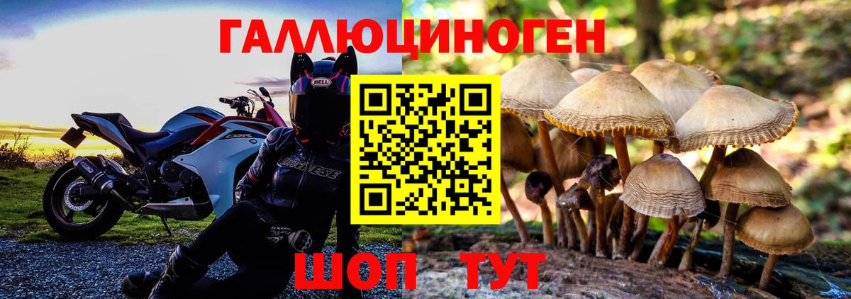 Гагарин  Псилоцибиновые грибы ЛСД  Вход с VPN 